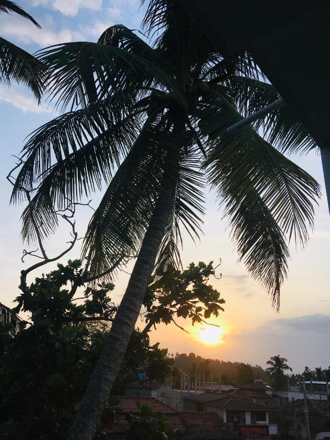 Splendid Lodge Mirissa Bagian luar foto